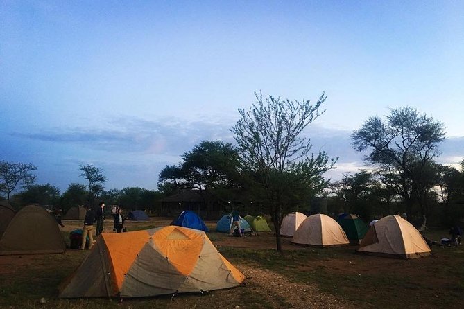 2 days Mid Range Safari in Ngorongoro and Tarangire Big 5 Parks - Day 2 in Ngorongoro: crater morning magic and big-five odds