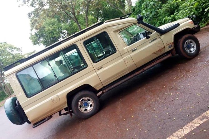 2 days Mid Range Safari in Ngorongoro and Tarangire Big 5 Parks - Wildlife viewing tips that fit this exact itinerary