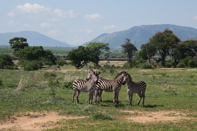 2 Days Mikumi Private Safari from Zanzibar with Accommodation - Private safari logistics that reduce stress for families and couples