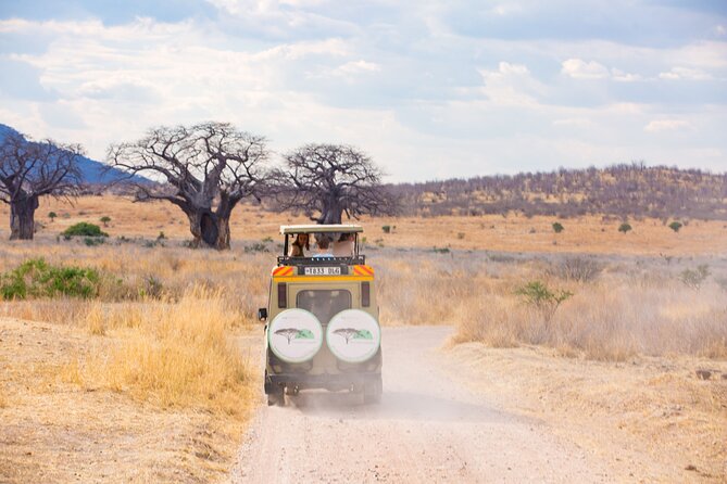 2 Days Mikumi Private Safari from Zanzibar with Accommodation - Weather reality: when the safari plan depends on conditions