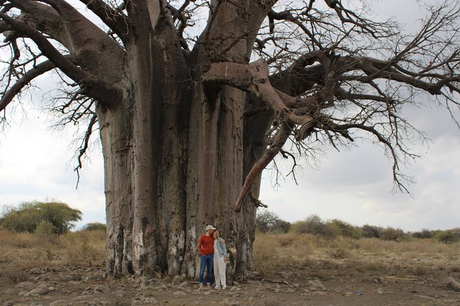 2 days private lodge safari - What to Expect From the Wildlife Day by Day