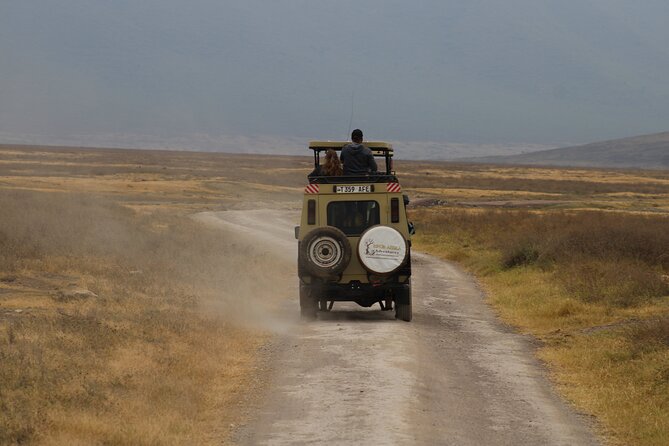 2 days private lodge safari - Accommodations: Lodge or Camp-Style, But Always Included