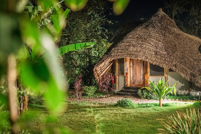 2 Days Private Midrange Safari from and back to Zanzibar - Ngorongoro Crater at sunrise, rhino chances and the hippo pool lunch