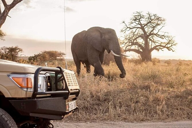 2 Days Private Midrange Safari from and back to Zanzibar - Price and value for $1,557 per person, what you’re paying for