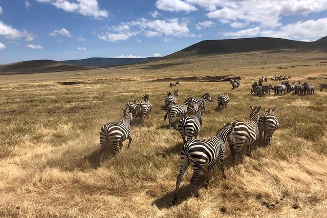 2-Days Private Midrange Safari; Tarangire & Ngorongoro Crater - Guides That Make the Difference: Friendly, On Time, and Detail-Driven