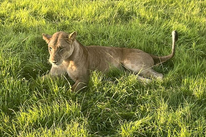 2 days private safari to Mikumi N park from Zanzibar or Dsm - Timing and road travel: the part people forget