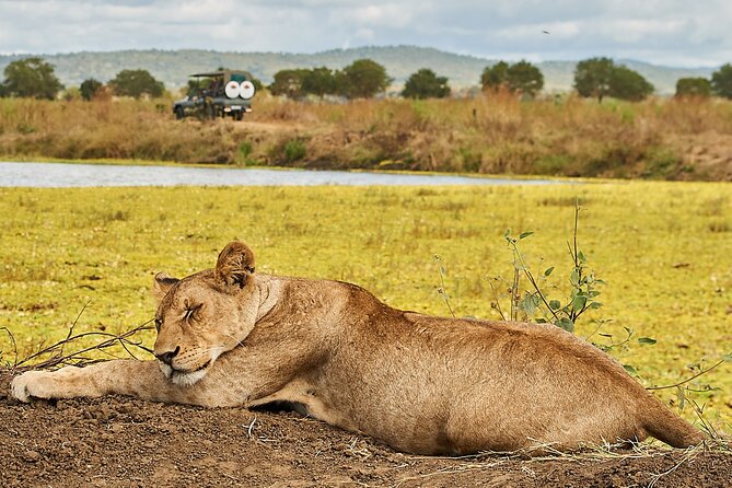 2 Days Private Safari Tour of Mikumi - Quick highlights before you commit