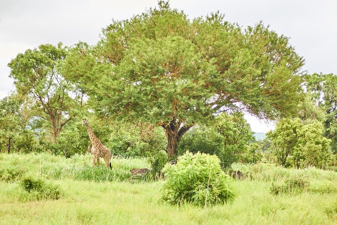 2 Days Private Safari Tour of Mikumi - What you should pack for a 2-day Mikumi style safari