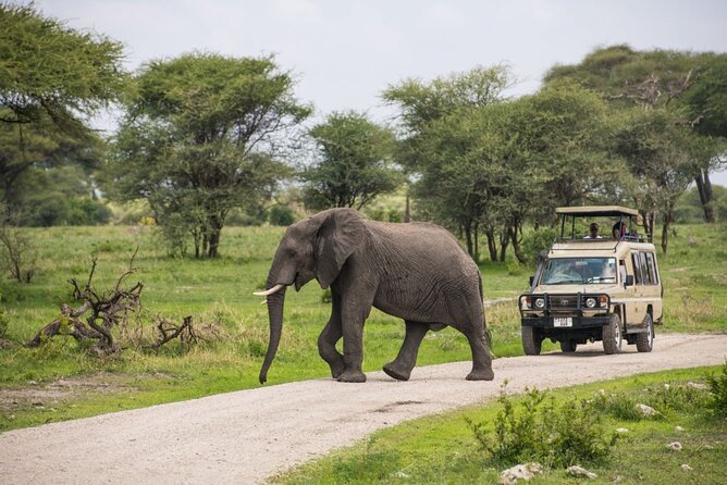 2 Days Ruaha National park - Key highlights to plan for