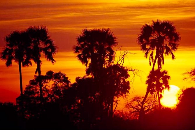 2 Days Ruaha National park - Why Ruaha fits a 2-day safari so well