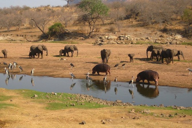 2 Days Ruaha National park - Day 2: Breakfast, a final round of viewing, then back to Iringa