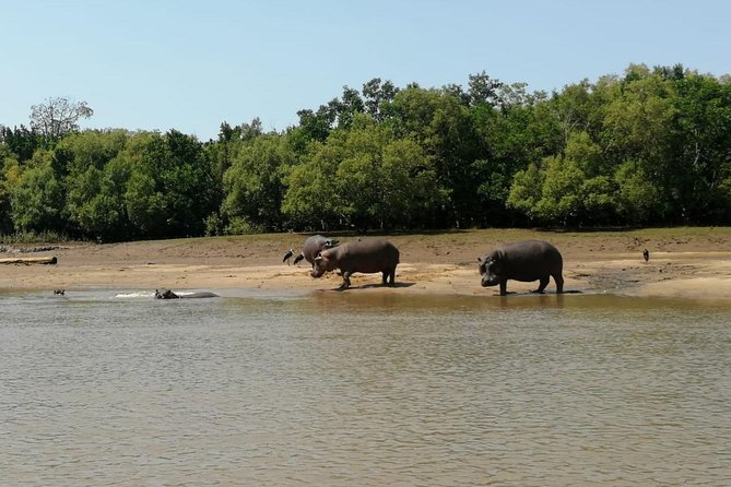 2 Days Saadani National Park From Zanzibar - Why Saadani National Park feels different from most Zanzibar trips