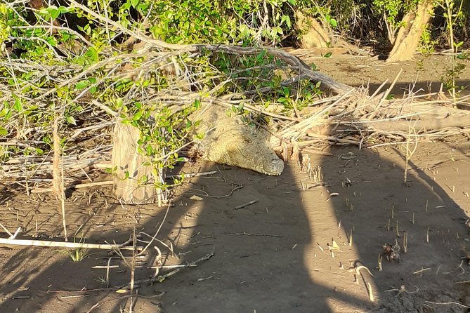 2 Days Saadani National Park From Zanzibar - Who this tour is best for