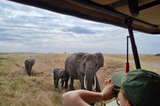2 Days Safari in Tarangire and Ngorongoro Crater - Tarangire to Ngorongoro in 2 Days, What That Really Means