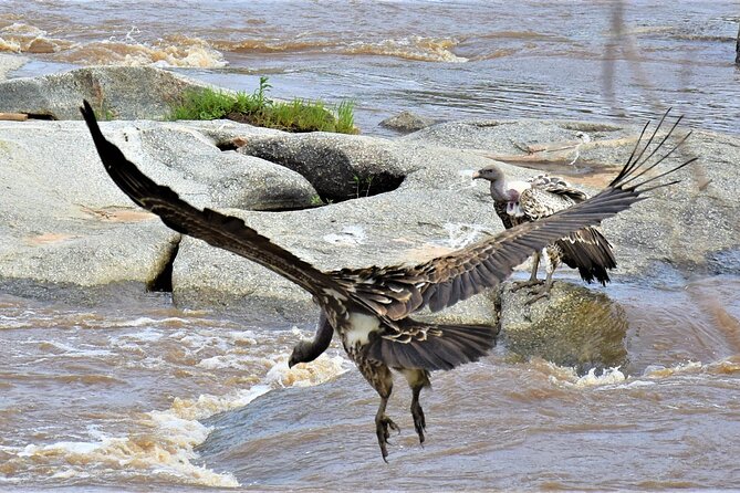 2 Days Safari through Tarangire NP and Lake Manyara NP - Mto wa Mbu and the Maasai village stop