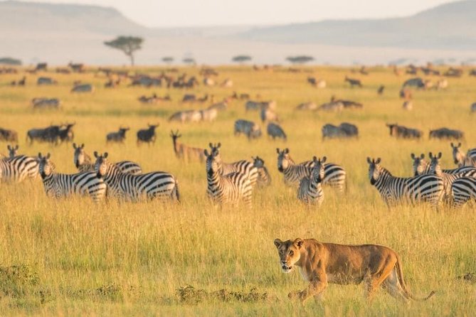2 Days Selous Game Reserve Safari from Zanzibar or Dar es salaam - Why Selous (Nyerere) works so well in just two days
