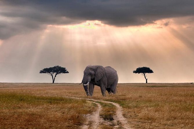 2 Days Selous Game Reserve Safari from Zanzibar or Dar es salaam - Price and Logistics, the real value of that $840