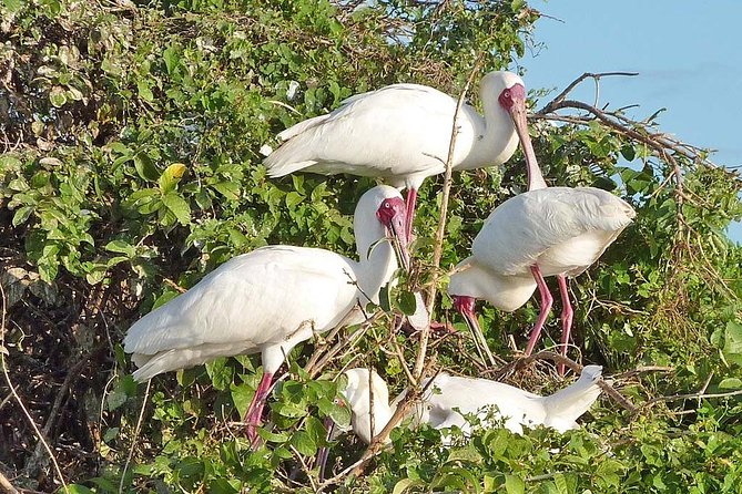 2 Days Selous Game Reserve Safari from Zanzibar or Dar es salaam - Vehicles and guides: what matters most in real safari time