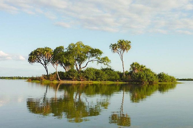 2 Days Selous Game Reserve Safari from Zanzibar or Dar es salaam - Getting from Zanzibar or Dar es Salaam without losing your morning