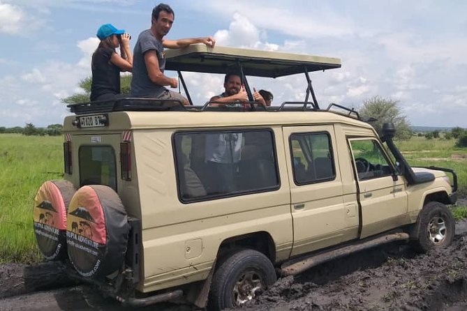 2 Days Tanzania Safari - Lake Manyara and Tarangire National Park - How Customization Works When Your Interests Change