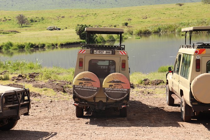 2 Days Tanzania Safaris - How the Ngorongoro day actually plays out, plus what to watch for