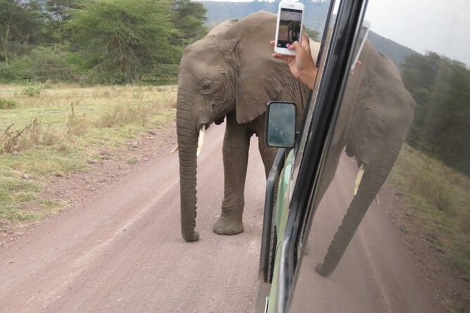 2 Days Tarangire and Ngorongoro Crater Tour - Your timing: 5:30 departure and a realistic two-day pace