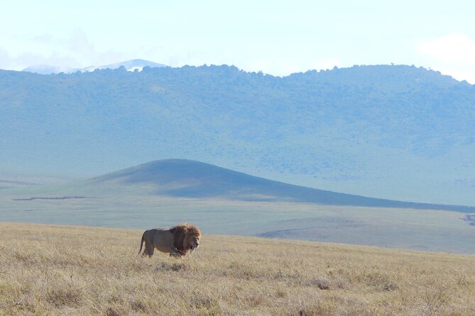 2 Days Tarangire and Ngorongoro Crater Tour - The safari vehicle and small group control