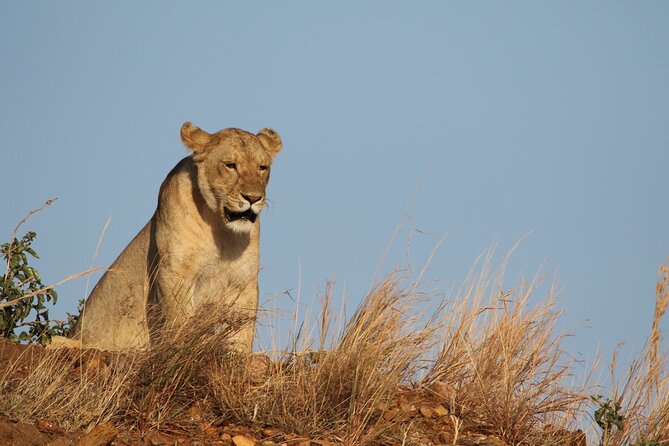 2 Days Tarangire and Ngorongoro Group Camping Safari - Price and logistics: what your $550 is buying you