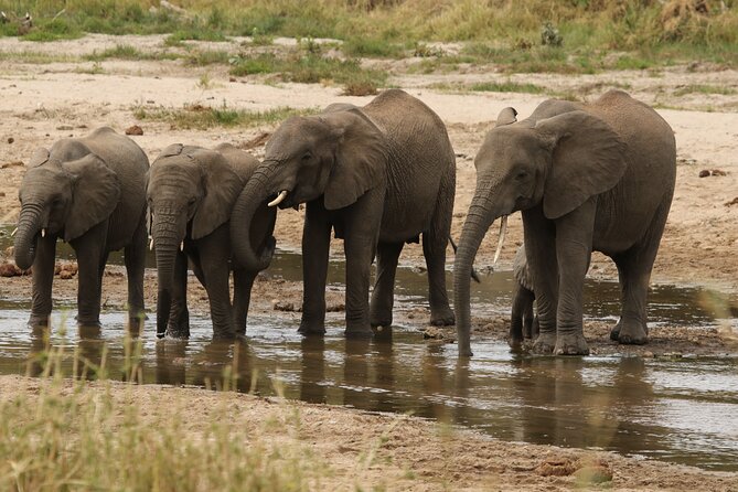 2 Days Tarangire and Ngorongoro Mid-Range Group Safari - What meals and the guide actually add up to in real value