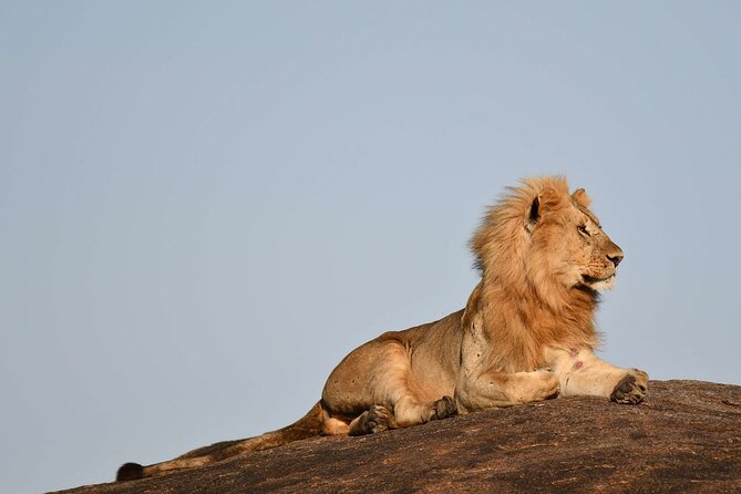 2 Days Tarangire and Ngorongoro Safari from Zanzibar - Camping setup, included food, and what comfort really means here