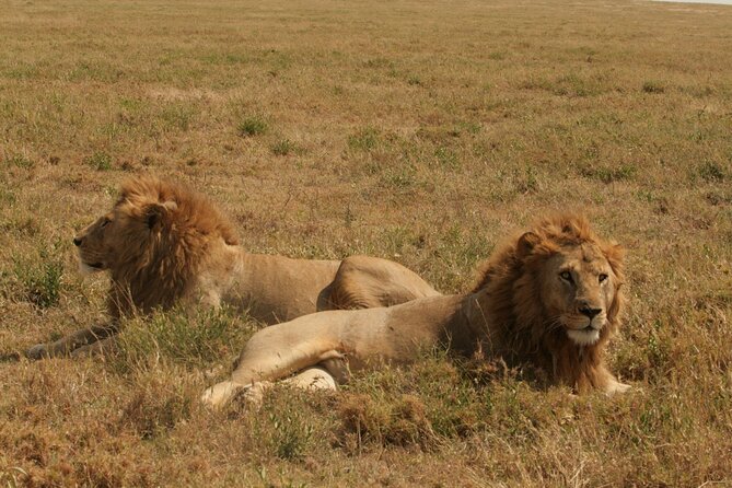 2 Days Tarangire and Ngorongoro Safari from Zanzibar - Price and value: what you’re paying for, and what to budget extra