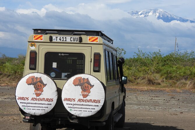 2 Days Tarangire and Ngorongoro Safari from Zanzibar - Logistics that can make or break a tight 2-day plan