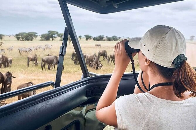 2 Days Tarangire and Ngorongoro Safari from Zanzibar - Tarangire National Park: baobabs, river game, and a real picnic
