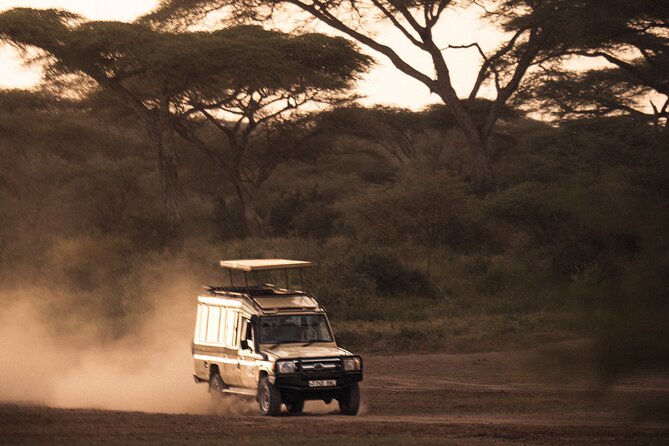 2 Days Tarangire and Ngorongoro Safari Tour in Tanzania - Two Parks, One Big-Game Mission in 2 Days