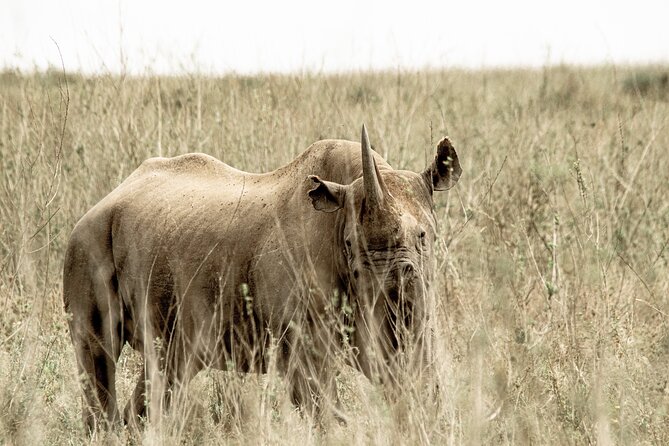 2 Days Tarangire and Ngorongoro Safari Tour in Tanzania - Your driver and small-group feel: up to 7 travelers