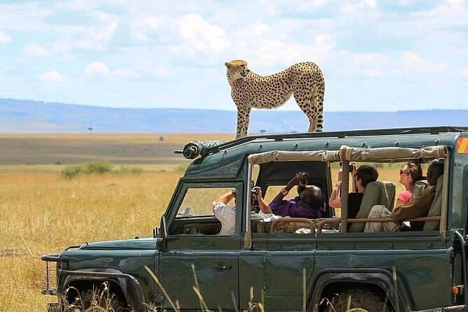 2 days Tarangire and Ngorongoro short safari - Key Highlights You Will Actually Feel