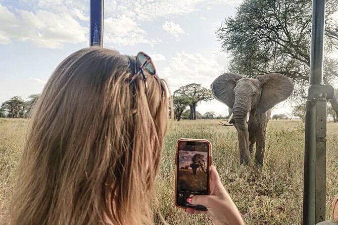 2 days Tarangire and Ngorongoro short safari - Why This 2-Day Tarangire and Ngorongoro Plan Works