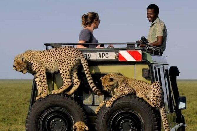 2 days Tarangire and Ngorongoro short safari - Meals, Water, and What You’re Paying For