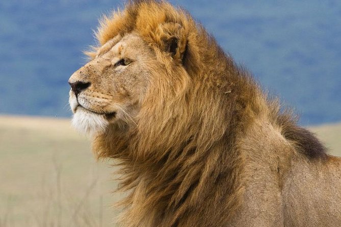 2 Days Tarangire & Ngorongoro Budget Safari Tour Tanzania - Overnight lodge time: why a real bed helps more than you think