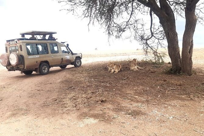 2 Days Tarangire & Ngorongoro Budget Safari Tour Tanzania - Practical tips to make the two days smoother