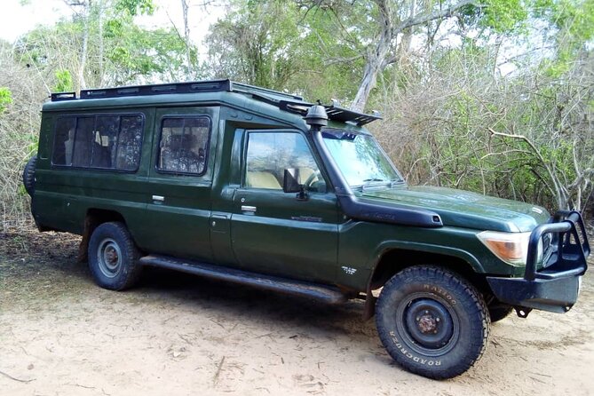 2 Days Tour From Zanzibar to Nyerere National Park (Selous GR) - Why flying from Zanzibar is the smart move here