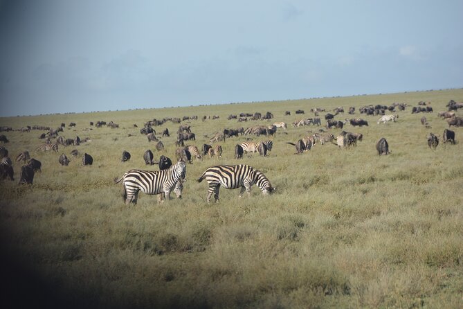 2 Days Tour From Zanzibar to Nyerere National Park (Selous GR) - Getting back to Zanzibar: timing and how it feels