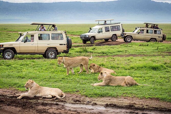 2 days Tour Tarangire & Ngorongoro - Price and Value of a $750 Two-Day Tarangire and Ngorongoro Safari