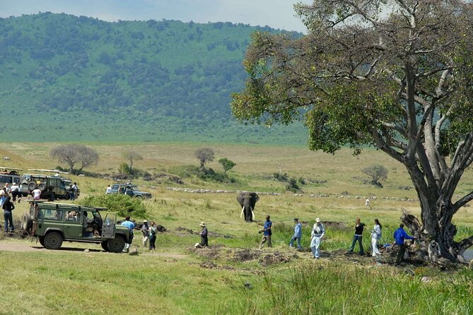 2 days Tour Tarangire & Ngorongoro - Getting to Tarangire: When the Game Drive Starts Early