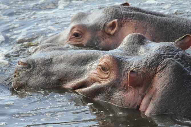 2 Days Wildlife game drives Through Tarangire and Ngorongoro Crater - Price and value: is $560 per person fair for what you get?