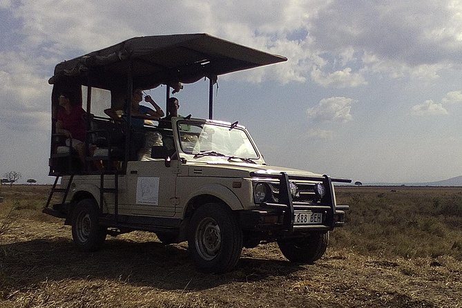 2 Days Wildlife Safari in Mikumi National Park - Why Mikumi Works So Well for a Short Safari