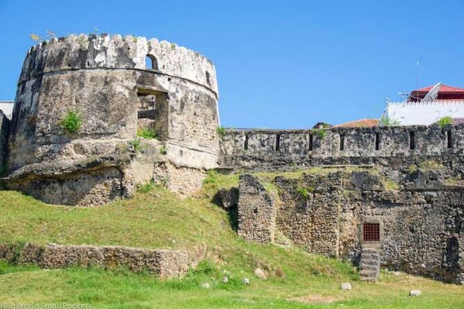 2 Hours Private Stone Town City Tour - Old Slave Market and the Anglican Cathedral: Exhibits You Can Read
