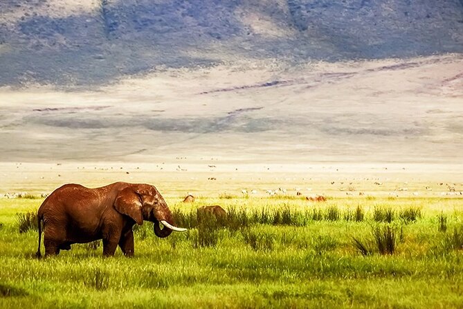 3-Day Camping Safari Tarangire, Lake Manyara & Ngorongoro crater - About the camping setup, lodging, and the meal question
