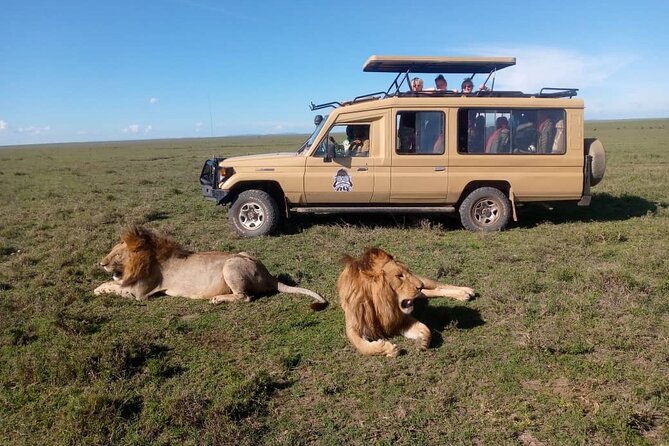 3-Day Camping Safari Tarangire, Lake Manyara & Ngorongoro crater - Day 1: Lake Manyara National Park, from pickup to tree-climbing lion luck