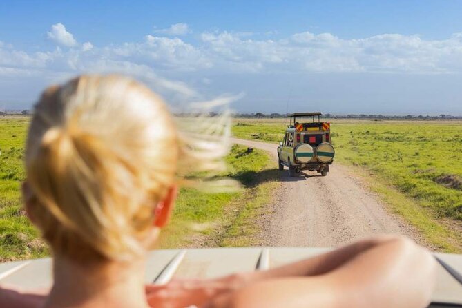 3 Day Classic, Guided Serengeti Safari - Day 3: returning to Arusha in the late afternoon